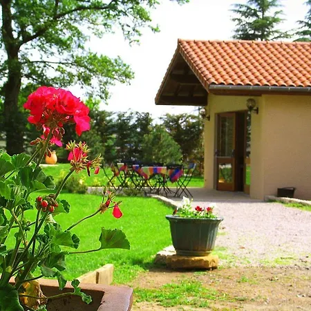 爱特西亚酒店 Feurs